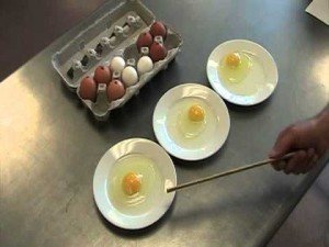 The Great Egg Test Cracks The Case!