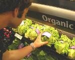organic grocery